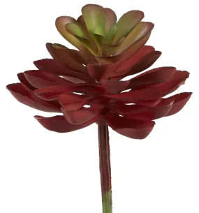 4" Echeveria Pick-Red  SF1025