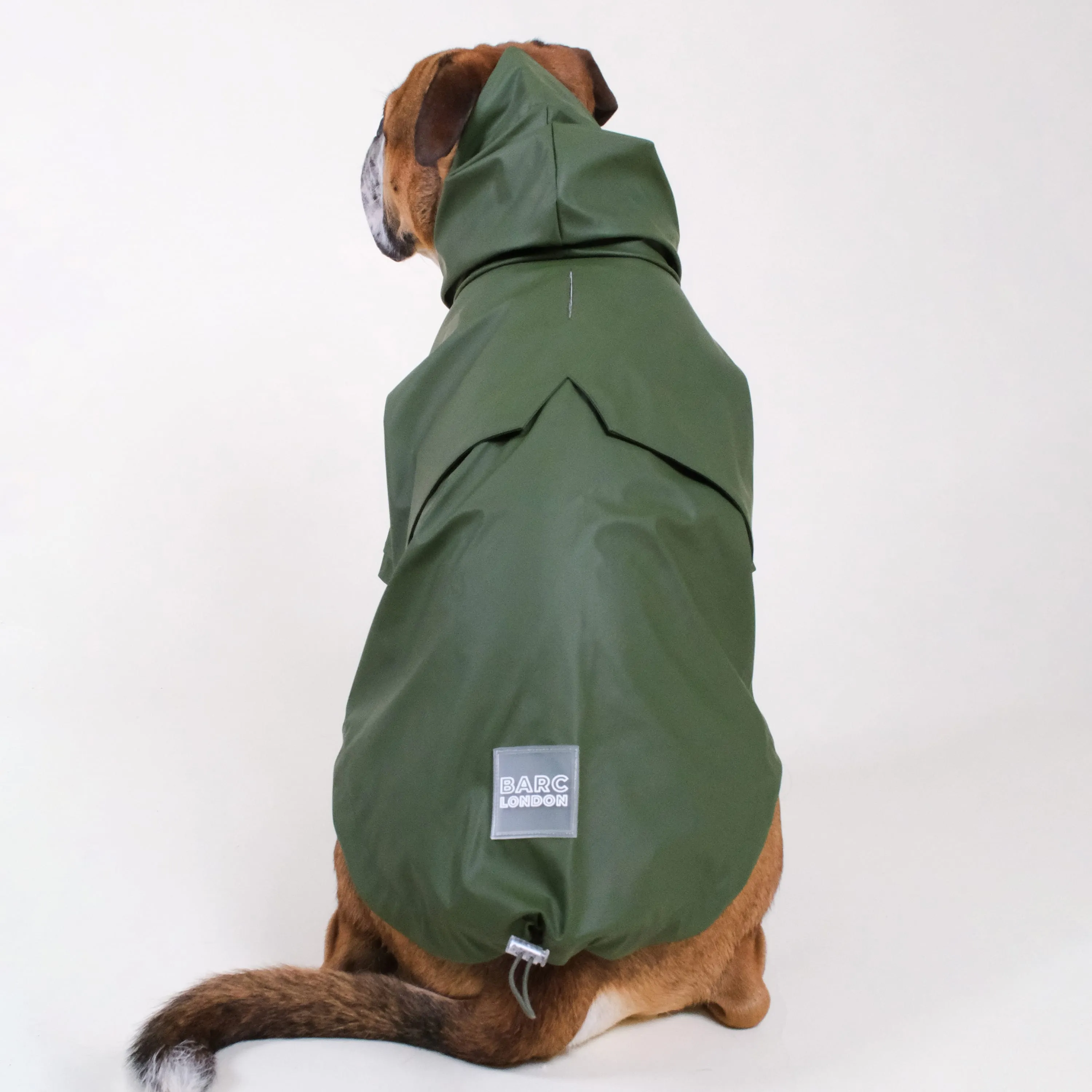 Green Dog Raincoat