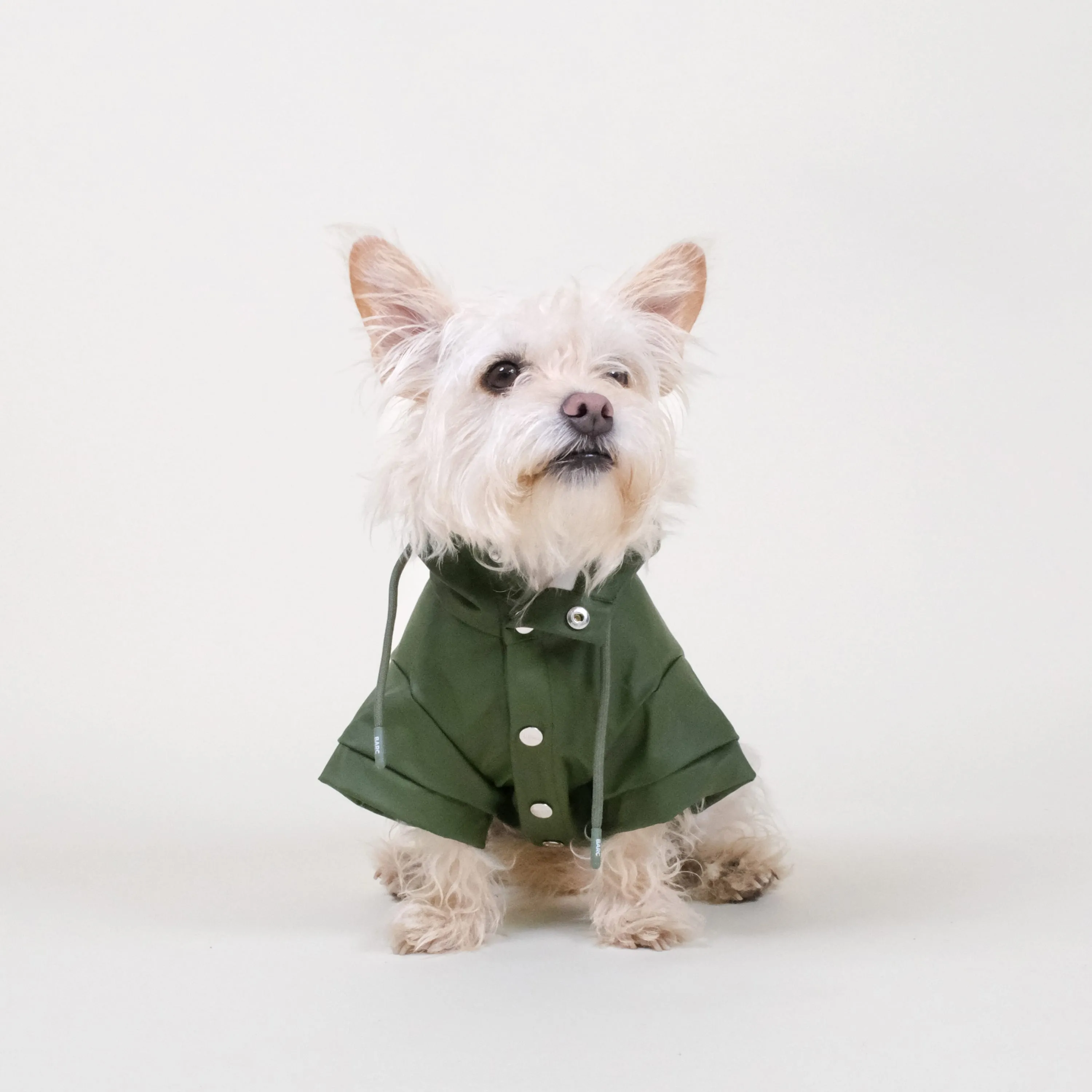Green Dog Raincoat