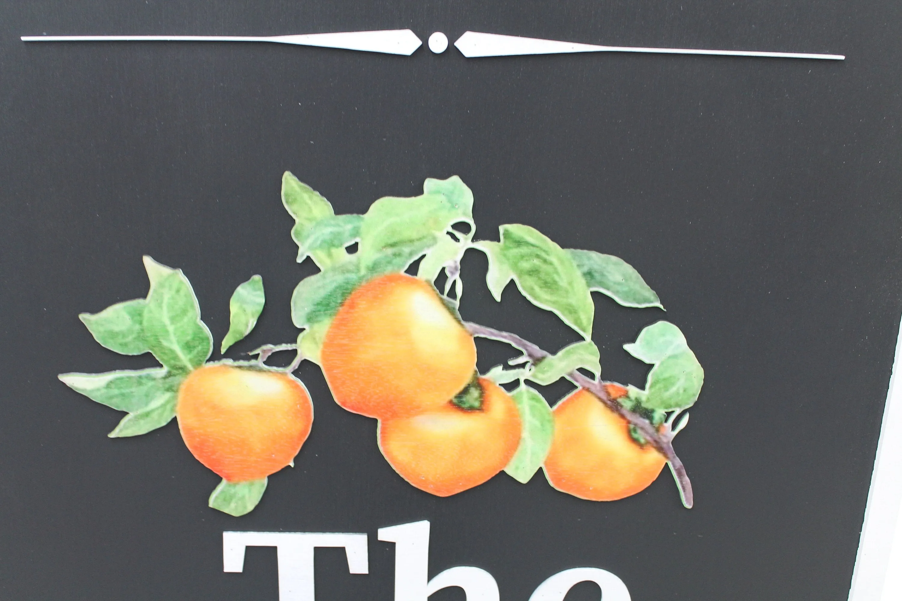 Hotel Peaches Oranges Customized Personalized Logo Uv printed and Raised letters Commerical Signage Elevated logo Business Front Sign